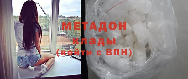 индика Алексин