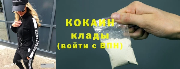 индика Алексин