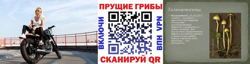 закладка Курганинск Псилоцибиновые грибы мухоморы