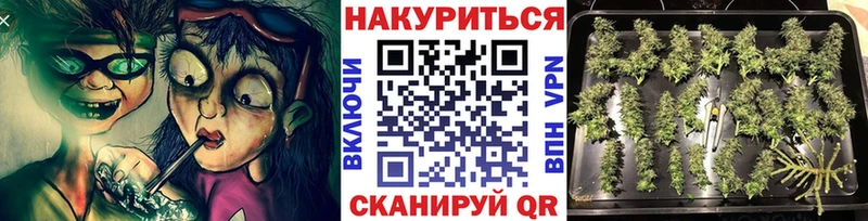 купить  сайты  Курганинск  Бошки Шишки MAZAR 
